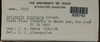 Image Associated With the Occurence